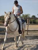 Cheval western randonn&eacute;e 