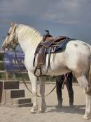Cheval western randonn&eacute;e 