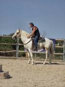 Cheval western randonn&eacute;e 
