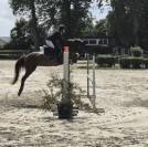Ponette de 7 ans