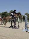 Ponette de 7 ans