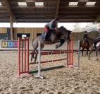 Petit cheval PFS Cat : E