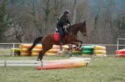 ? Mistral &ndash; Hongre AQPS &ndash; 4 ans