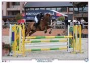 MAGNIFIQUE TROTTEUR FRANCAIS GENTIL ETBIEN DANS SA TETE