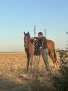 Jument pur sang 4 ans 