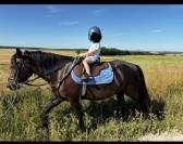 Magnifique Pottock 12 ans 