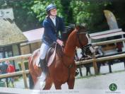 Cheval g&eacute;n&eacute;reux de 6 ans
