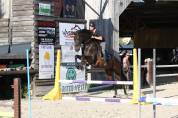 IMPOSTOR DE SALVATELLA, Pure Race Espagnole, 12 ans