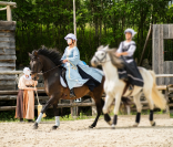 IMPOSTOR DE SALVATELLA, Pure Race Espagnole, 12 ans