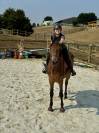 A vendre - SF 12 ans 