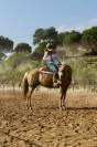 Yegua Quarter Horse &times; &Aacute;rabe palomino