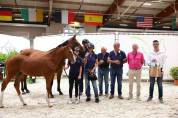 POULICHE SF souche 10/10 (Semilly x Riverland x d'Elle)