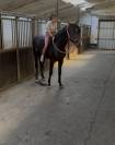 Cheval d&rsquo;exception 