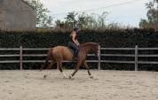 Pythagore, 5ans, super t&ecirc;te, pr&ecirc;t sur un parcours 1m15
