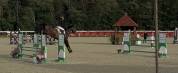 Cheval de Sport 8 ans tourne actuellement 125/130