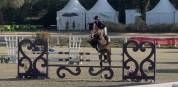 Cheval de Sport 8 ans tourne actuellement 125/130