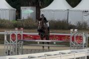 Cheval de Sport 8 ans tourne actuellement 125/130
