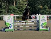 Cheval de Sport 8 ans tourne actuellement 125/130