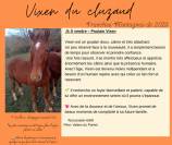 Franche montagne hongre 1 an
