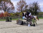 POULAIN PIE 1AN CCE