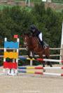 pony in vendita