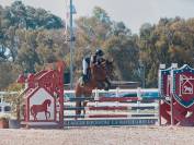 pony in vendita