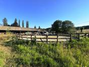 Domaine Equestre