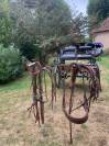 Attelage poneys