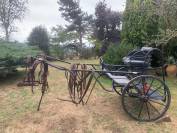 Attelage poneys