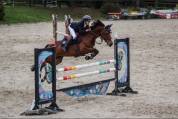 Ponette de grand prix &agrave; louer 
