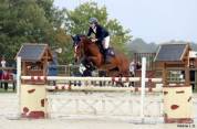 Ponette de grand prix &agrave; louer 