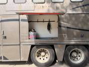 Horsebox NON-HGV Scania S&eacute;rie 3 113 M 1991 Used