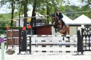 cavalla Francese