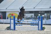 cavalla Francese