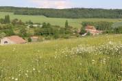 5 places disponibles Pension pr&eacute;/abri