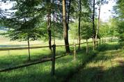 5 places disponibles Pension pr&eacute;/abri