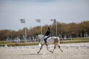 Cheval PRE PP 