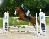 Magnifique 5 ans C 