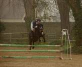 Poney par Daho du paradis 