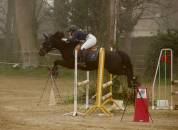 Poney par Daho du paradis 