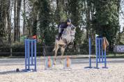 Jupiter Corni&egrave;re - SF &ndash; 7 ans &ndash; Cheval d'avenir