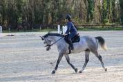 Jupiter Corni&egrave;re - SF &ndash; 7 ans &ndash; Cheval d'avenir