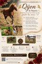 Magnifique poulain (grand poney)