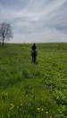 Jument PFS 6ans 155cm