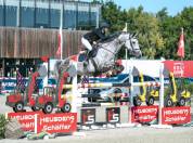Top jument de sport &agrave; vendre