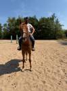 Magnifique cheval &agrave; vendre 