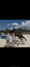 Poney PP 4 ans 