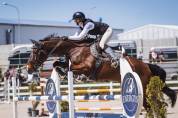 Winning gelding for children/ junior classes