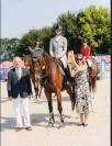 Winning gelding for children/ junior classes