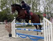 Springpaard  For Pleasure x Nummero Uno